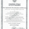 Powiększ obraz: certificate 2