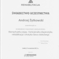 Powiększ obraz: certificate 78