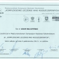 Powiększ obraz: certificate 5