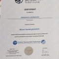 Powiększ obraz: certificate 2