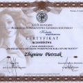 Powiększ obraz: certificate 19