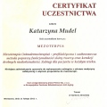 Powiększ obraz: certificate 9