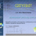 Powiększ obraz: certificate 7