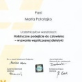Powiększ obraz: certificate 6