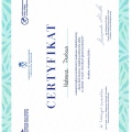 Powiększ obraz: certificate 9