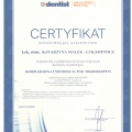 Powiększ obraz: certificate 13