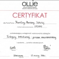 Powiększ obraz: certificate 18