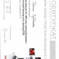 Powiększ obraz: certificate 9