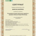 Powiększ obraz: certificate 1