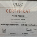 Powiększ obraz: certificate 21