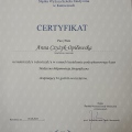 Powiększ obraz: certificate 43