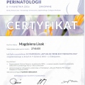 Powiększ obraz: certificate 6