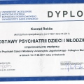 Powiększ obraz: certificate 8
