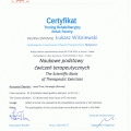 Powiększ obraz: certificate 3