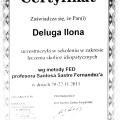 Powiększ obraz: certificate 6