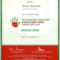Powiększ obraz: certificate 8