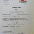 Powiększ obraz: certificate 3