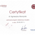 Powiększ obraz: certificate 9