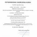 Powiększ obraz: certificate 12