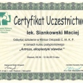 Powiększ obraz: certificate 18
