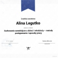 Powiększ obraz: certificate 23