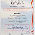 Powiększ obraz: certificate 5