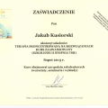 Powiększ obraz: certificate 9