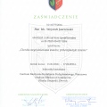 Powiększ obraz: certificate 1