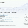 Powiększ obraz: certificate 9