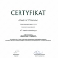 Powiększ obraz: certificate 16