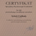 Powiększ obraz: certificate 1