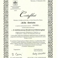 Powiększ obraz: certificate 14