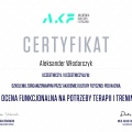 Powiększ obraz: certificate 44