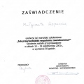 Powiększ obraz: certificate 14