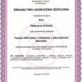 Powiększ obraz: certificate 5