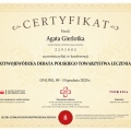 Powiększ obraz: certificate 136