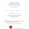 Powiększ obraz: certificate 16