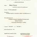 Powiększ obraz: certificate 19