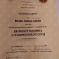 Powiększ obraz: certificate 4