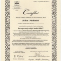 Powiększ obraz: certificate 13