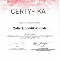 Powiększ obraz: certificate 5