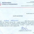 Powiększ obraz: certificate 14