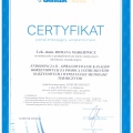 Powiększ obraz: certificate 16