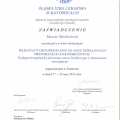 Powiększ obraz: certificate 48