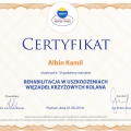 Powiększ obraz: certificate 17