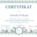Powiększ obraz: certificate 7