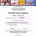 Powiększ obraz: certificate 8