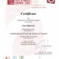 Powiększ obraz: certificate 52
