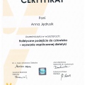 Powiększ obraz: certificate 6