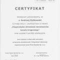 Powiększ obraz: certificate 26